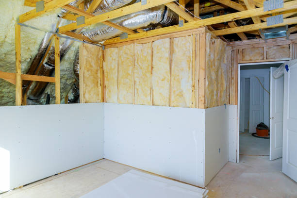 Best Commercial Insulation in Cut Off, LA