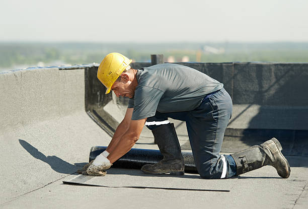 Best Specialty Insulation in Cut Off, LA